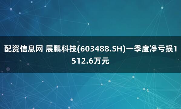 配资信息网 展鹏科技(603488.SH)一季度净亏损1512.6万元
